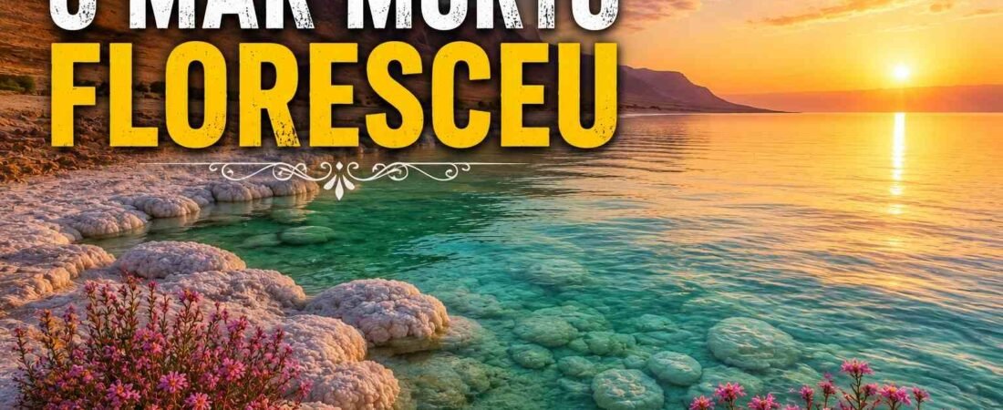 O Mar Morto Floresceu? Entenda o Fenômeno e o Significado Bíblico. Leia o artigo e veja o vídeo