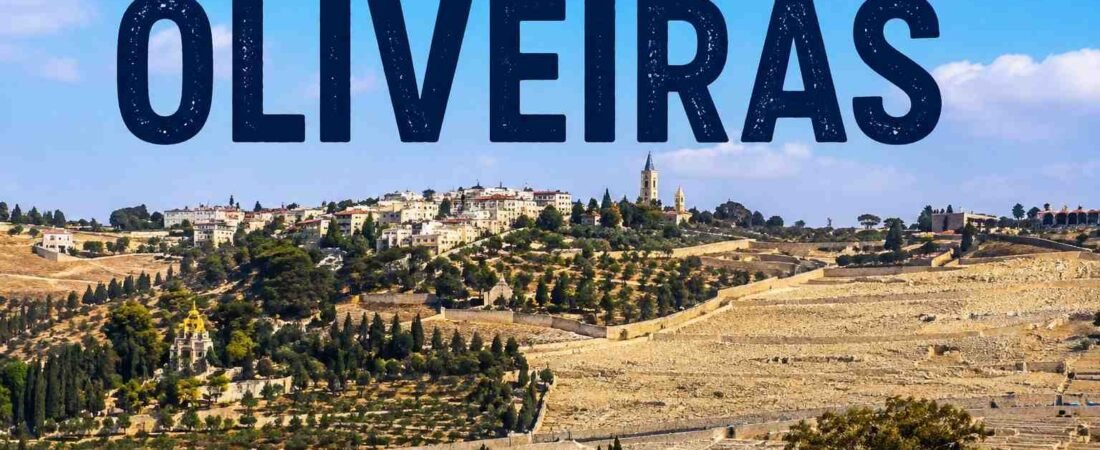 Monte das Oliveiras. Leia o artigo e veja o vídeo